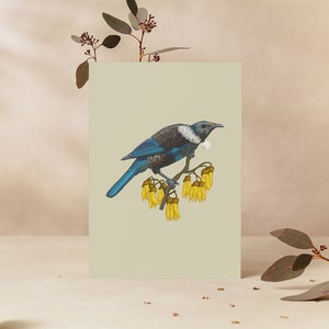 cartão de cumprimentos | Kowhai e Tui