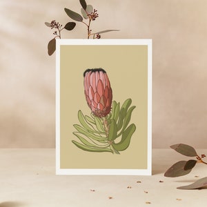 carte de voeux | Rouge-gorge