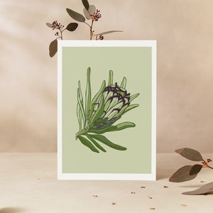 carte de voeux | Vison vert et noir