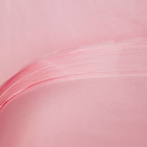 Carta velina di lusso rosa chiaro di alta qualità, senza acidi, resistente alle sbavature e allo sbiadimento, 50 x 76 cm, 10 fogli