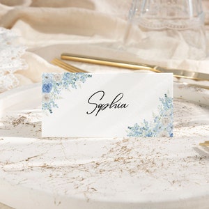 Cartão de lugar, cartão de lugar personalizado, cartões de lugar azuis empoeirados, nomes de lugares, decorações de mesa de casamento, cartões de lugar de casamento, cartões de visita, seda
