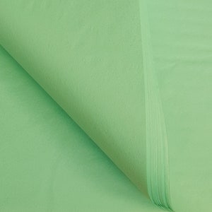 Carta velina di lusso di alta qualità, verde pastello, senza acidi, resistente alle sbavature e allo sbiadimento, 50 x 76 cm, 10 fogli