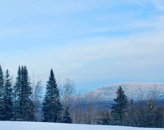 Winter Wonderland- Snowy Photography- Snowy Mountains- Winter Backdrop- Backdrop Download- Winter Wall Decor-