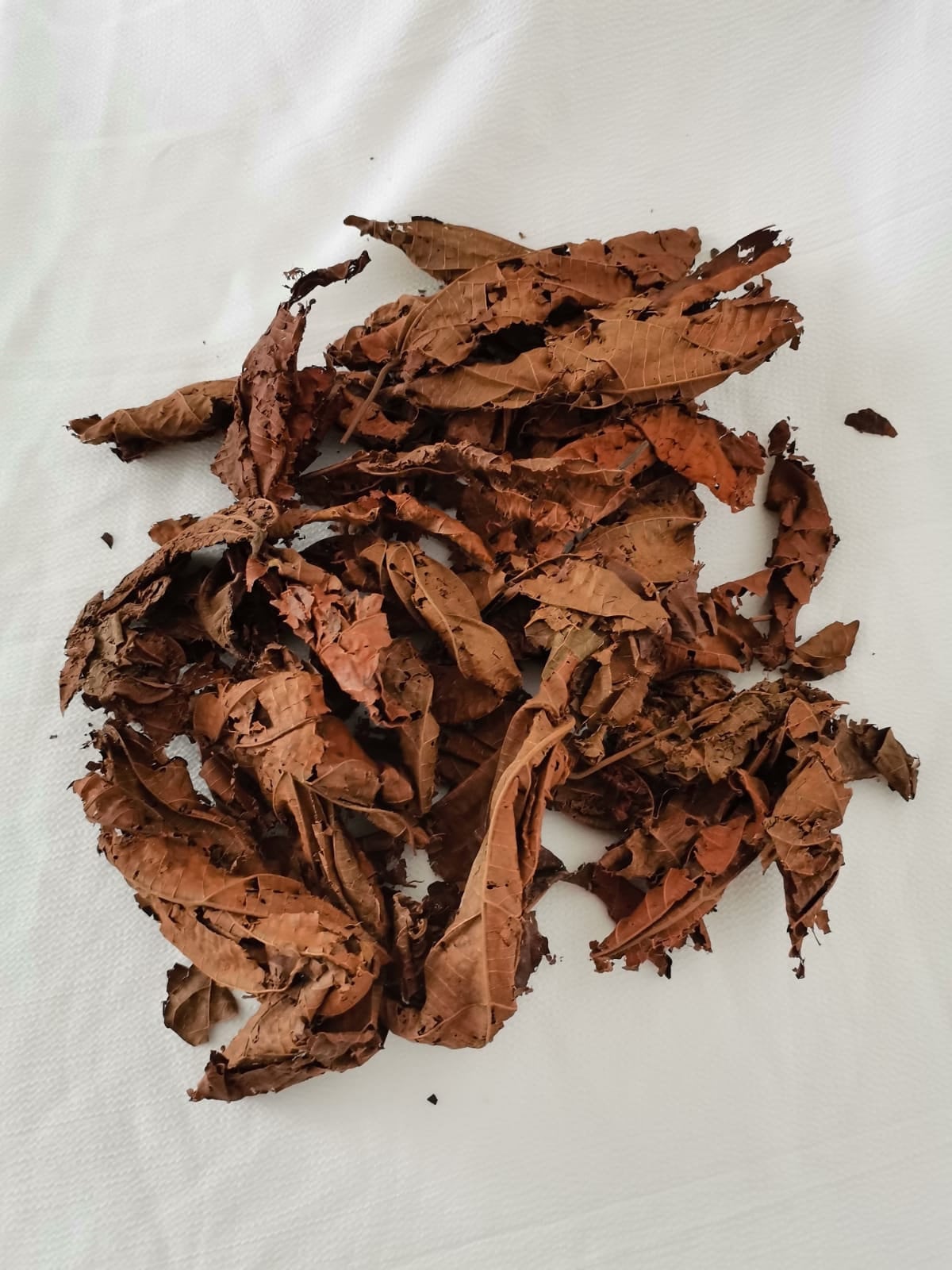 Dried Djeka Leaves- Feuille de Djeka – TinaKKollection