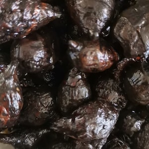May include: A close-up of a bowl filled with black, shiny, dried fruit. The fruit is arranged in a random pattern and appears to be very dark and glossy.