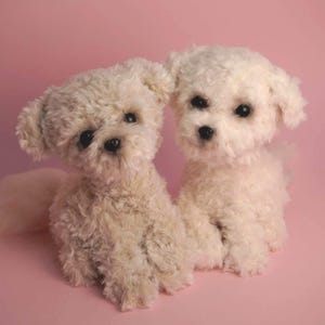 Puede incluir: Dos perros de peluche color crema sentados uno al lado del otro sobre un fondo rosa. Los perros tienen ojos oscuros y pelaje esponjoso, lo que les da una apariencia suave y achuchable. La imagen evoca calidez y compañerismo.
