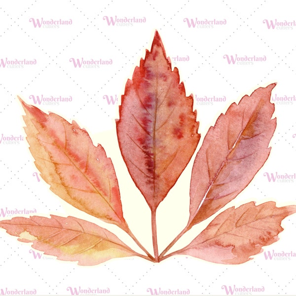 Emporte-pièce à l'emporte-pièce Lierre à 5 feuilles de l'automne avec IMAGE