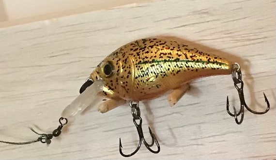 Gold Crappie Lure 