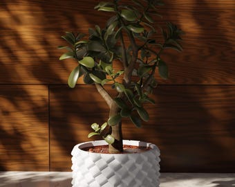 3D Printed Plant Pot: Modern Minimalist Indoor Planter with Drip Tray