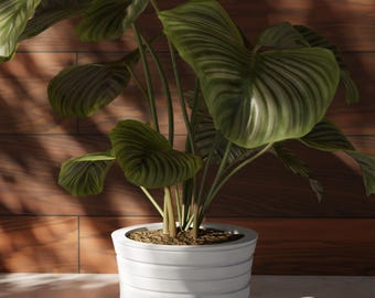 3D Printed Plant Pot: Modern Minimalist Indoor Planter with Drip Tray