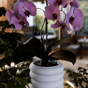 3D Printed Plant Pot: Modern Minimalist Style with Drip Tray