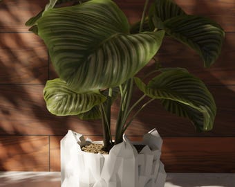 3D Printed Modern Plant Pot with Drip Tray - Minimalist Home Decor
