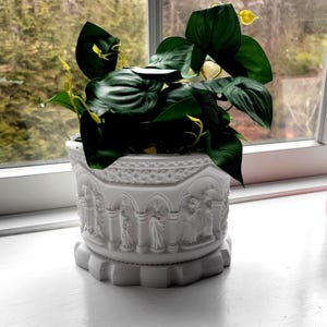May include: A white, ornate plant pot with a detailed relief design of figures and architectural elements. The pot holds a lush green plant with large, heart-shaped leaves. The pot sits on a windowsill.