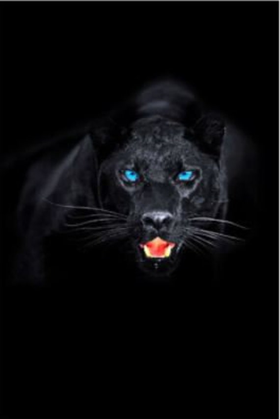 Pantera Negra Animal Salvaje Mirando Lienzo Pintura Arte Mural - Etsy México Pantera Negra Animal Salvaje Mirando Lienzo Pintura Arte Mural - Etsy México
