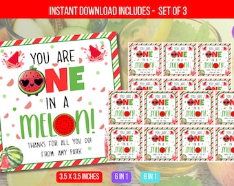 EDITABLE Watermelon Appreciation Gift Tag, You Are One In A Melon, Watermelon Gift Tags,    Staff Summer Appreciation PTA Instant Download