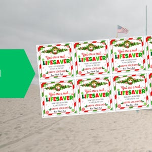 EDITABLE You Are a Real Lifesaver! Candy Gift Tag for Teachers, Staff ...