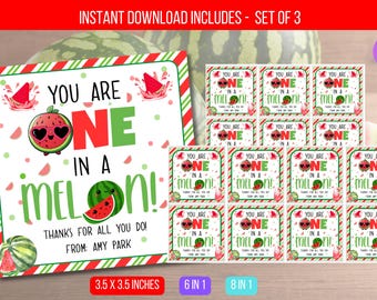 EDITABLE Watermelon Appreciation Gift Tag, You Are One In A Melon, Watermelon Gift Tags,    Staff Summer Appreciation PTA Instant Download