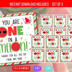 EDITIERBARE Wassermelonen Wertschätzung Geschenkanhänger, Sie sind einer in einer Melone, Wassermelonen Geschenkanhänger, Personal Sommer Wertschätzung PTA Sofort-Download