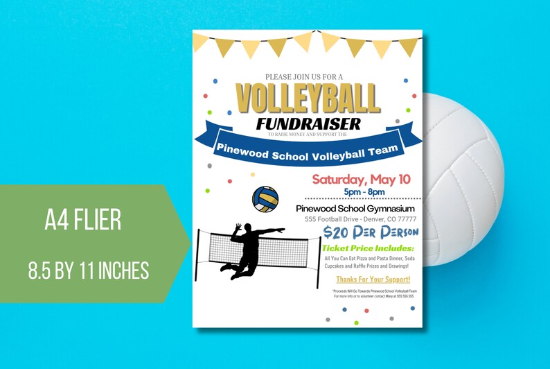 EDITABLE Volleyball Fundraiser Flyer Template, Charity Non Profit Event