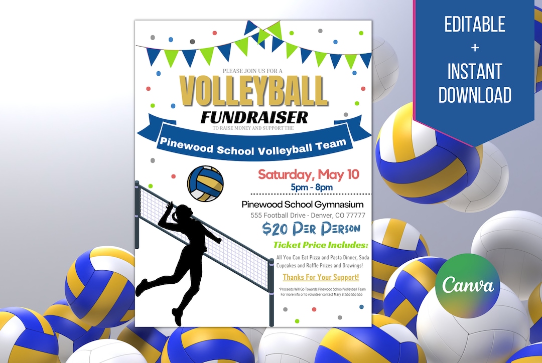 EDITABLE Volleyball Fundraiser Flyer Template, Charity Non Profit Event