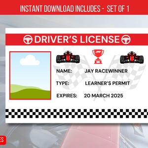 EDITABLE Race Car Drivers License Birthday Party Decorations, ID Badge Template For Kids License, Identification Card Instant Download