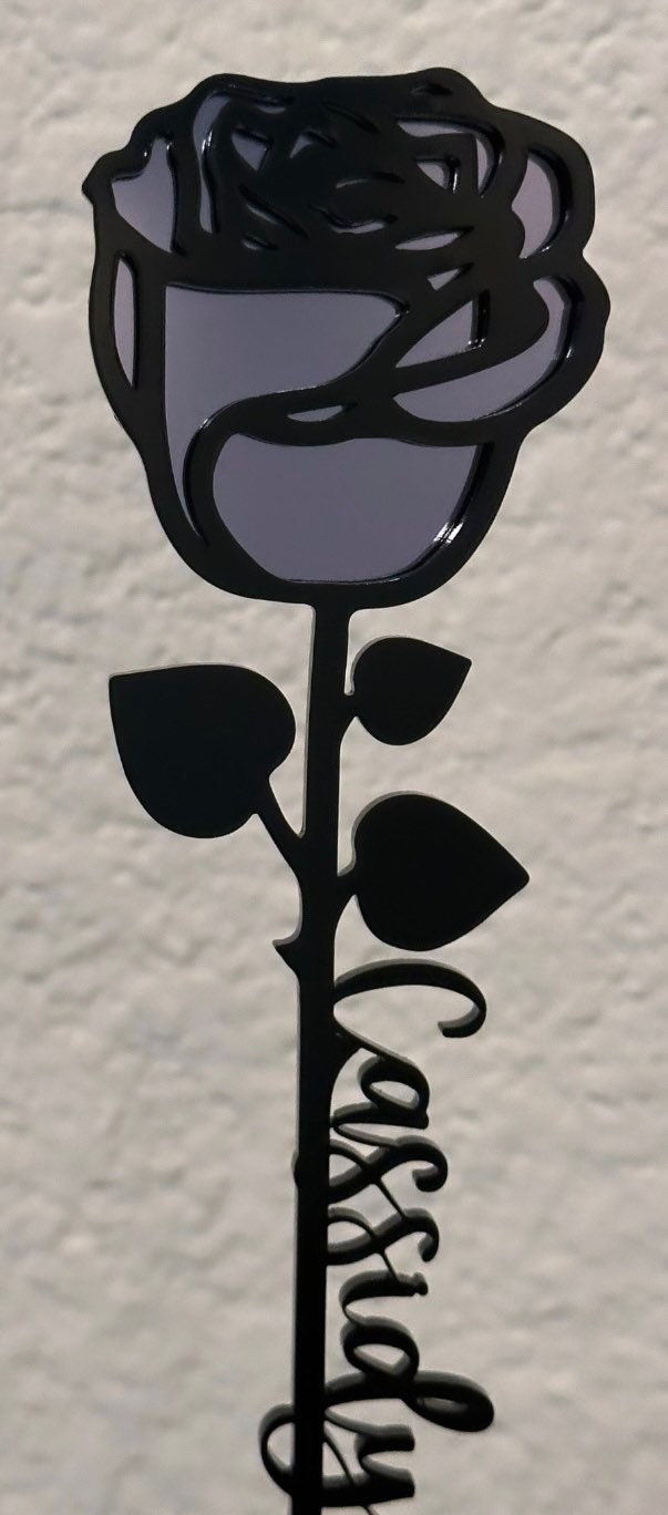 Mother’s Day Forever Rose, Mother’s Day Gift, Roses, Flowers, Birthday Gift, Gifts For Her, Anniversary