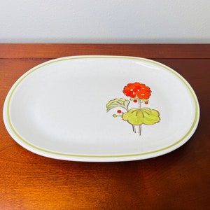 Geranium Poppy Trail Oval Platter by METLOX