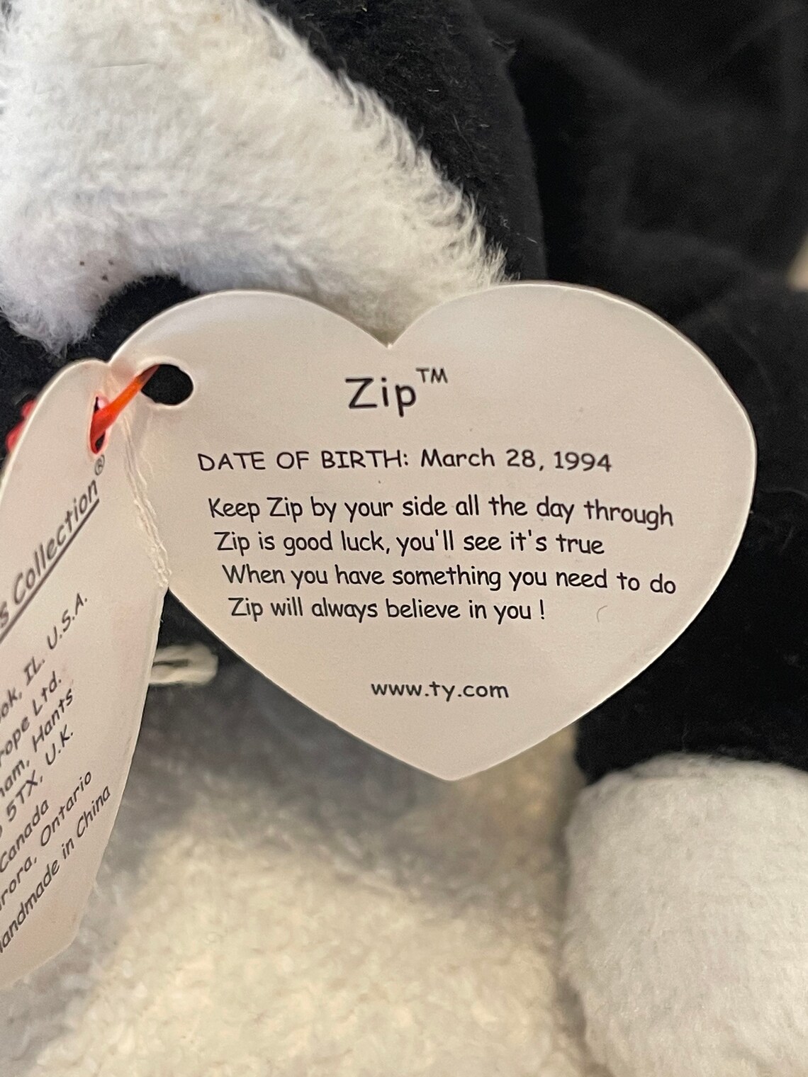 Ty Beanie Baby Zip RARE Errors Etsy