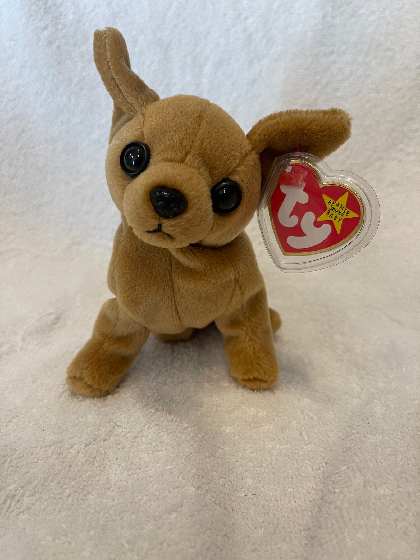 chihuahua tiny toy