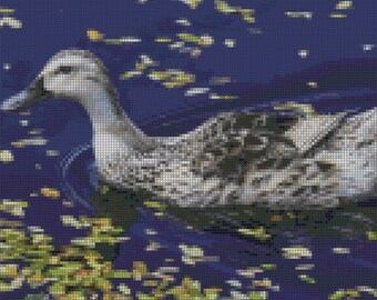 Ente Kreuzstichmuster