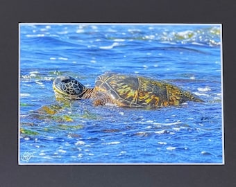 Swimming Sea Turtle 5"x7" Print