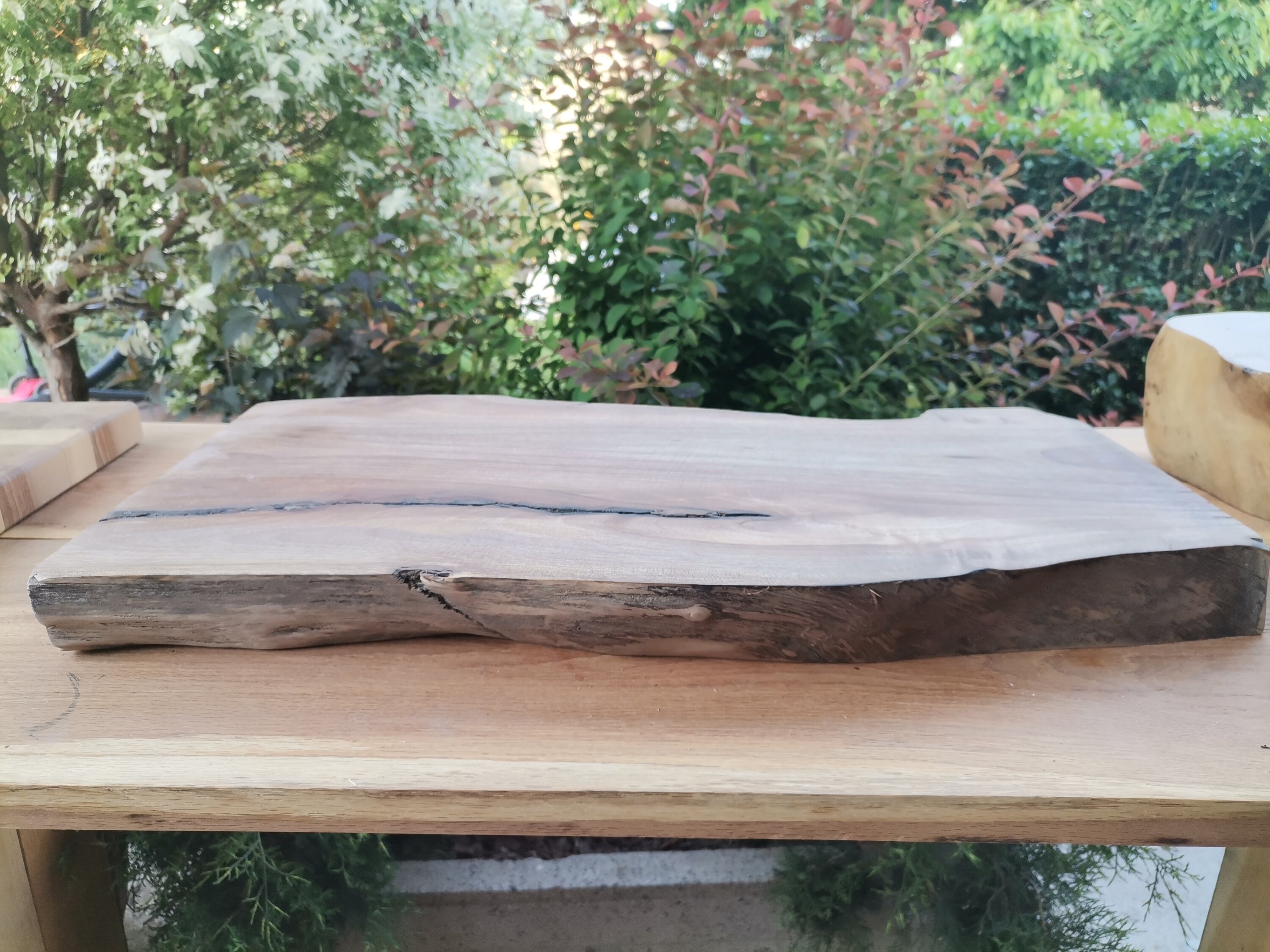 24 Dry walnut raw live edge tree slab tabletop rustic Etsy