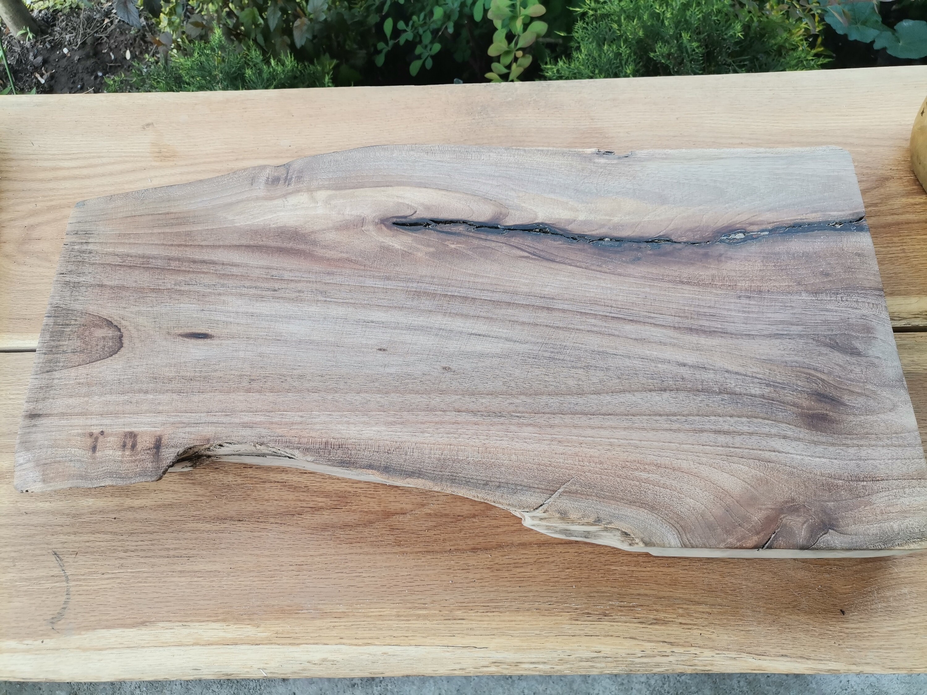 Tree Slab 9 In Raw Tree Slabs : Guide to Live Edge Wood Slabs – KUNYPG