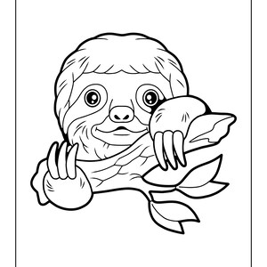 30 Adorable Sloth Coloring Pages