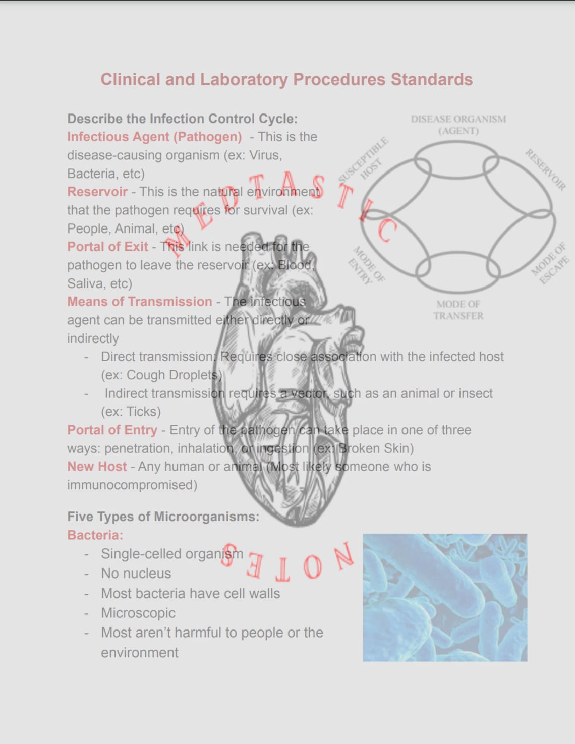 Clinical and Laboratory Procedure Standard Notes Etsy
