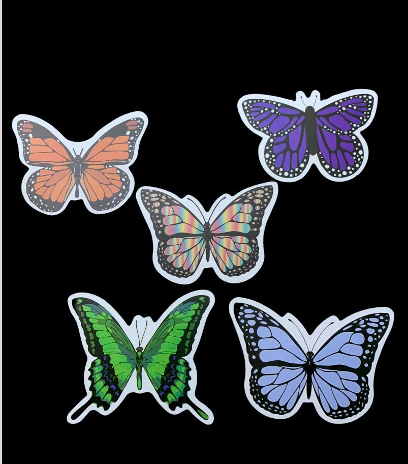 Butterfly 5 Pack Assortment Etsy