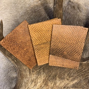 Fish Leather Passport Cover