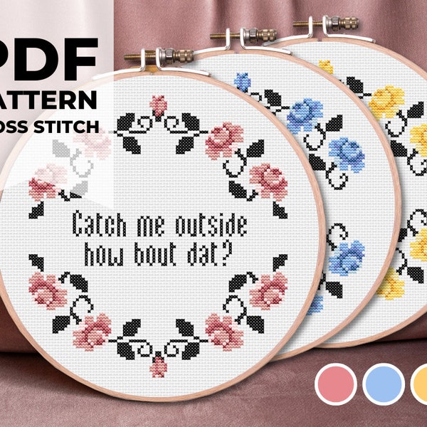 Catch me outside how bout that - Easy Cross Stitch Embroidery PDF Pattern & Stitch Guide - Beginner friendly (Dr Phil, Funny quote, Flowers)