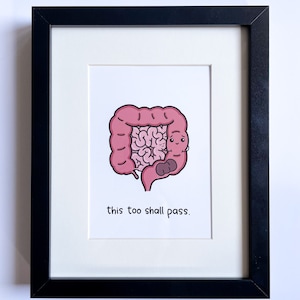 May include: A framed print featuring a cartoon illustration of a pink intestine with a smiling face. The intestine is holding a brown poo. The text "this too shall pass." is printed below the illustration.