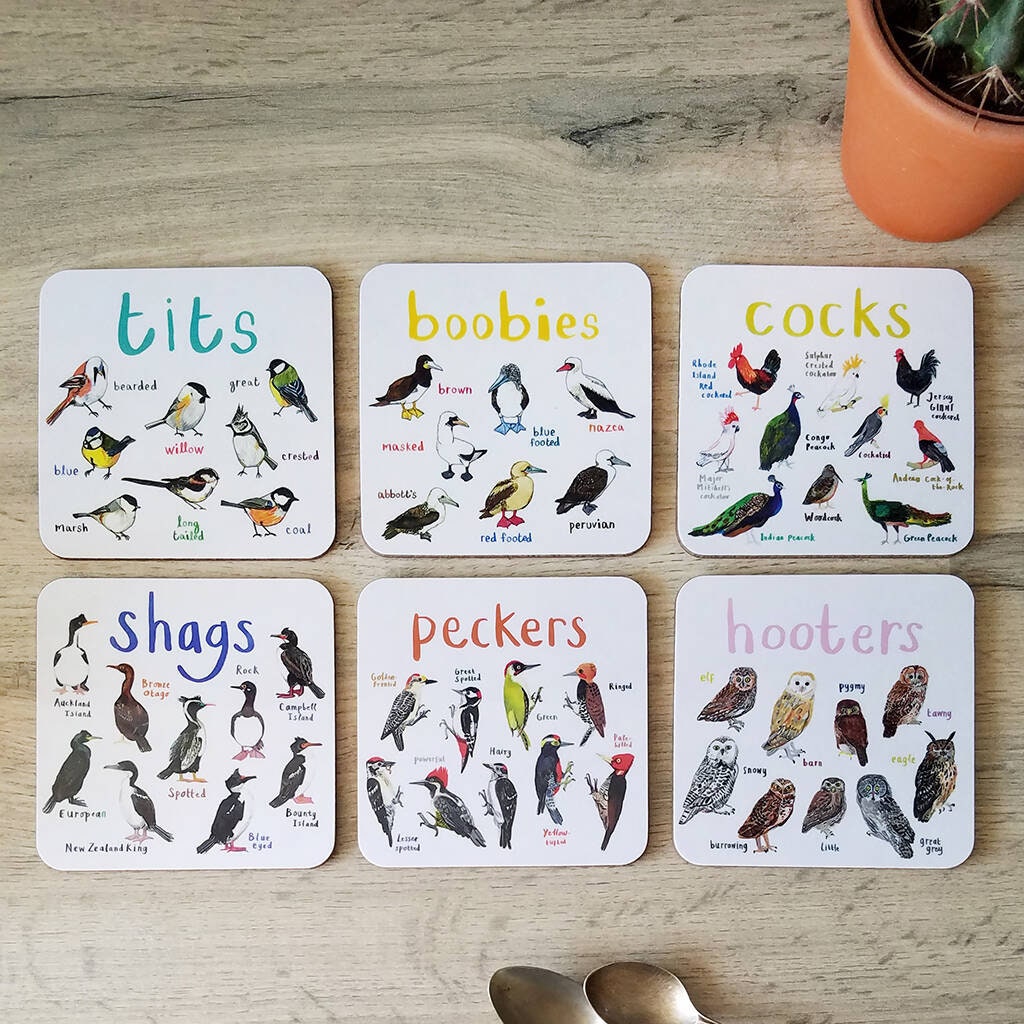 Fun Coaster Set Set of 6 Bird Pun Coasters Etsy