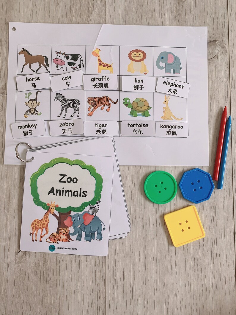 Zoo Animals Flashcards, English Chinese Bilingual Learning, Preschool ...