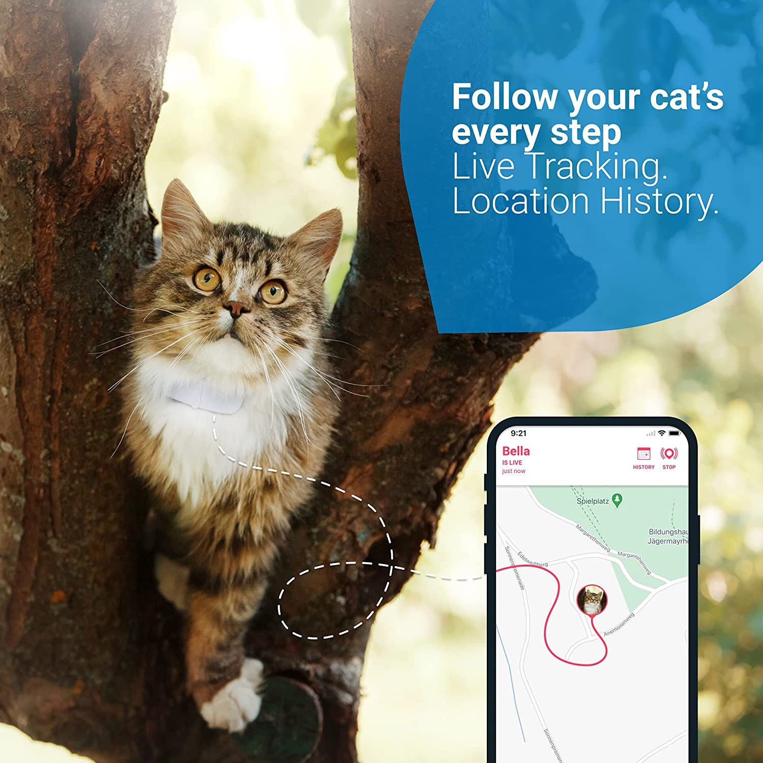Tractive GPS Cat Tracker with Custom Cat Collar Follow them Etsy