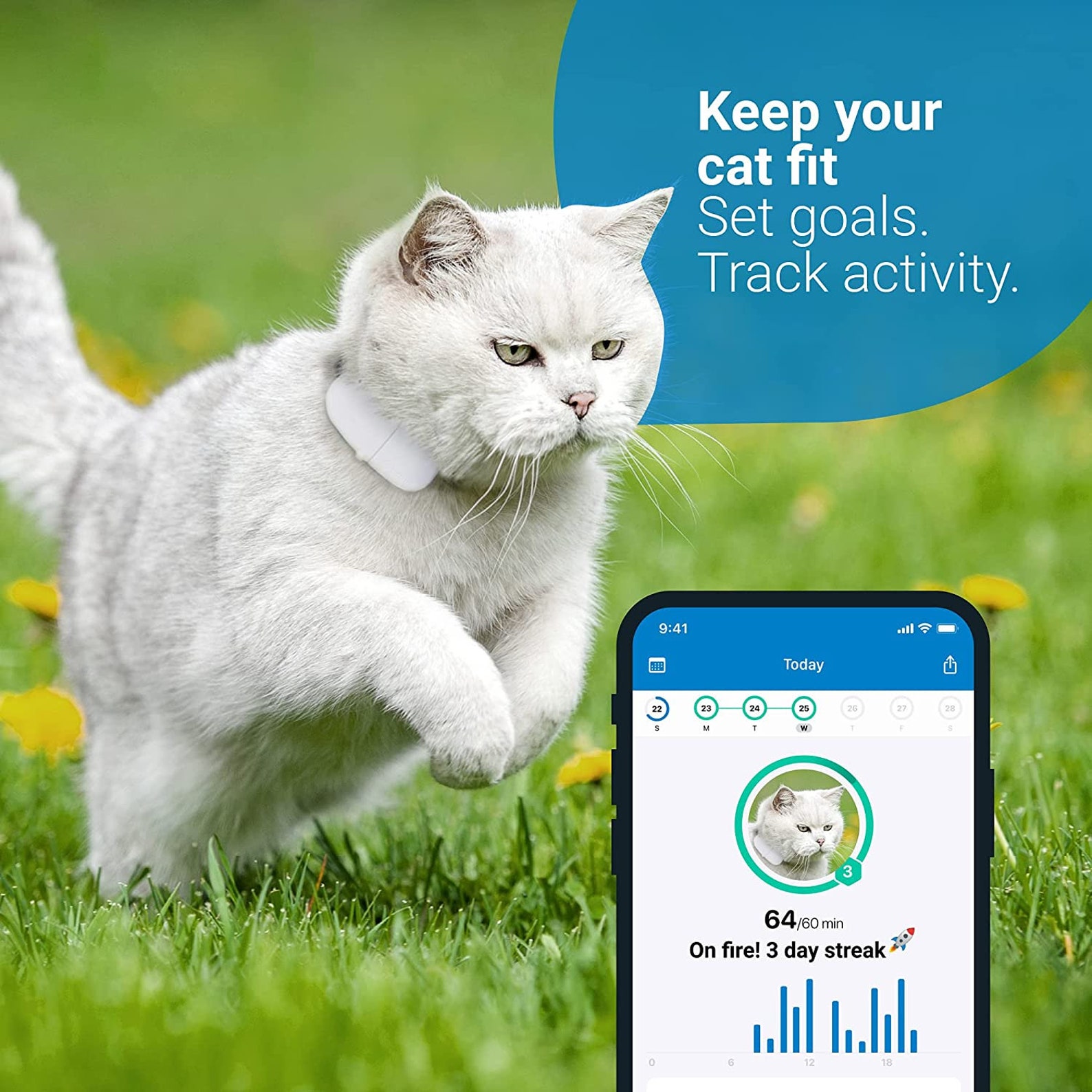 Tractive GPS Cat Tracker with Custom Cat Collar Follow them Etsy