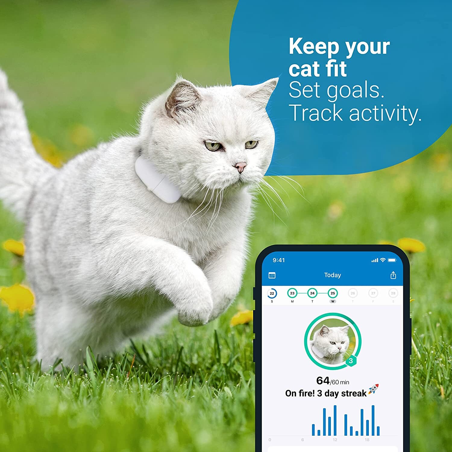 Tractive GPS Cat Tracker with Custom Cat Collar Follow them Etsy