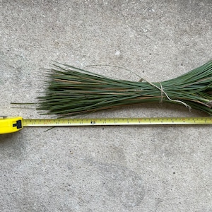 May include: A bundle of green pine needles tied together with twine, measured with a yellow tape measure. The tape measure shows a length of 17 inches.