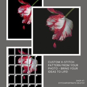 May include: A custom cross-stitch pattern of a red and white tulip with a single red drop falling from the flower. The pattern is divided into a grid of 25 squares. The text "CUSTOM X-STITCH PATTERN FROM YOUR PHOTO - BRING YOUR IDEAS TO LIFE!" is displayed below the image. The text "SHOP AT: STITCHXPORTRAITS ON ETSY" is displayed at the bottom of the image.