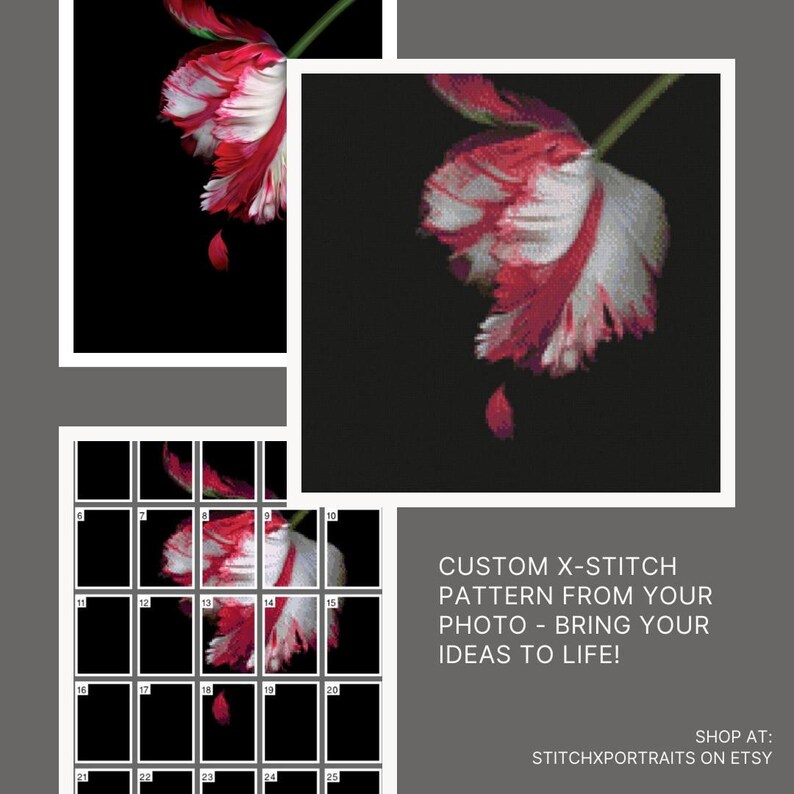 May include: A custom cross-stitch pattern of a red and white tulip with a single red drop falling from the flower. The pattern is divided into a grid of 25 squares. The text "CUSTOM X-STITCH PATTERN FROM YOUR PHOTO - BRING YOUR IDEAS TO LIFE!" is displayed below the image. The text "SHOP AT: STITCHXPORTRAITS ON ETSY" is displayed at the bottom of the image.