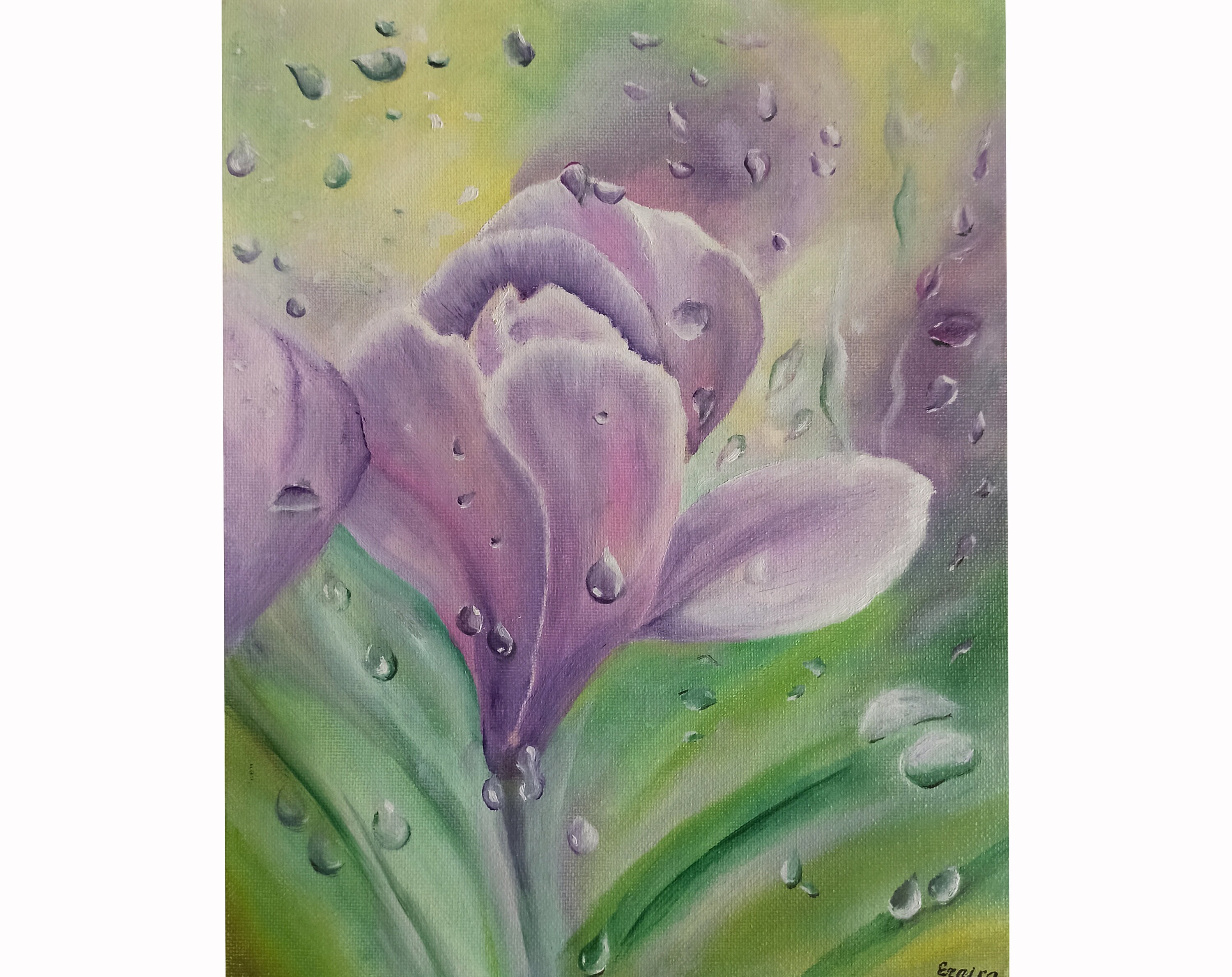 Crocus Painting, Floral Painting, Flowers Wall Art, Original Art, Painting on Canvas, Oil Painting by Ernika