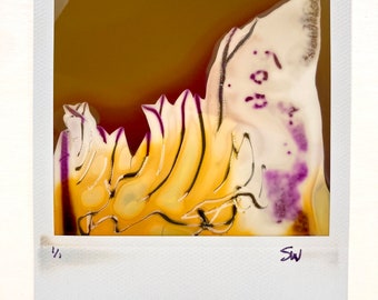 Polaroid 600 Abstract Art Color Photograph :]