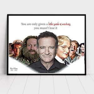 Robin Williams - Spark of Maddness
